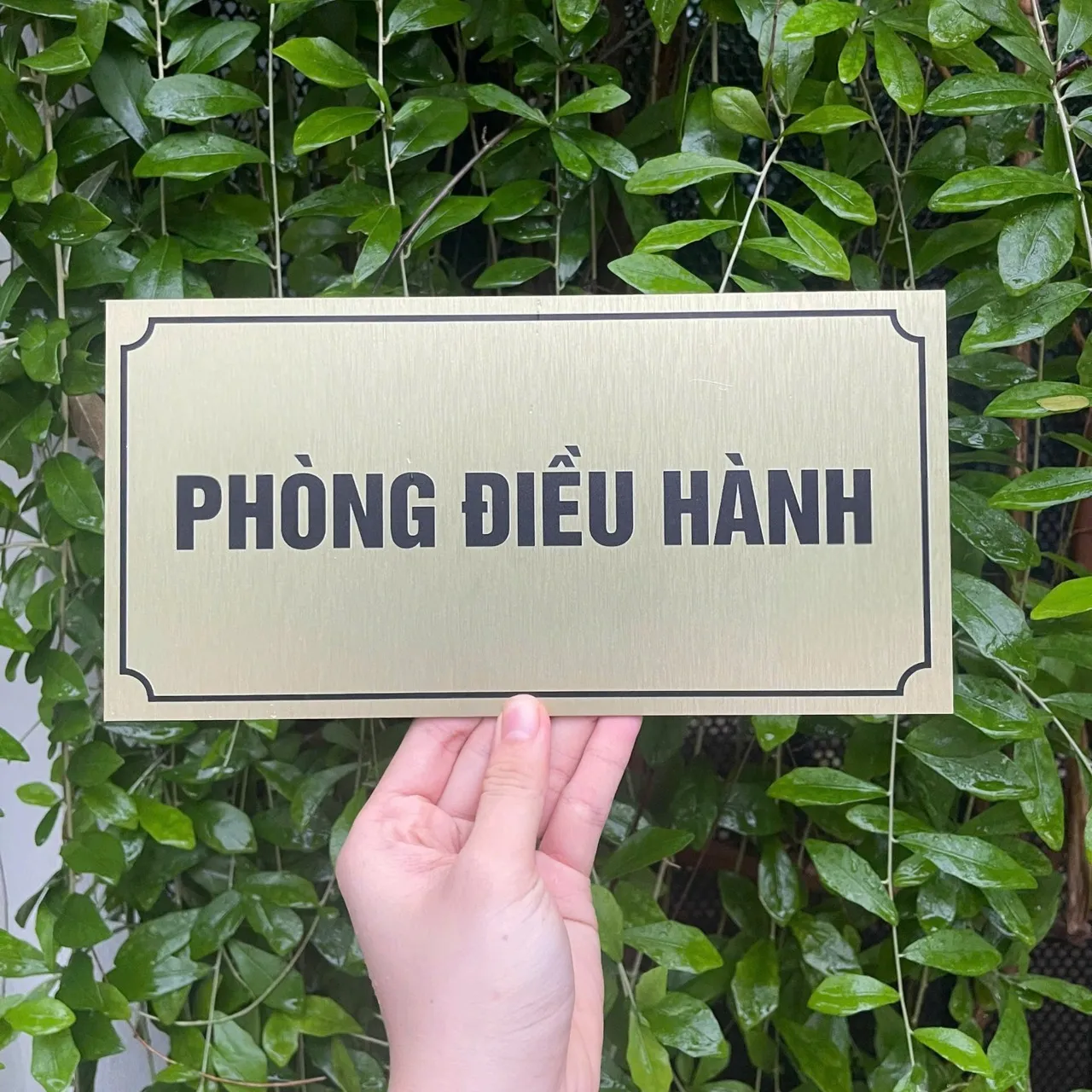 Bảng tên phòng điều hành inox 304 vàng xước – Bảng Hiệu Vàng Bảng tên phòng điều hành inox vàng xước viền khung cổ điển chữ đen