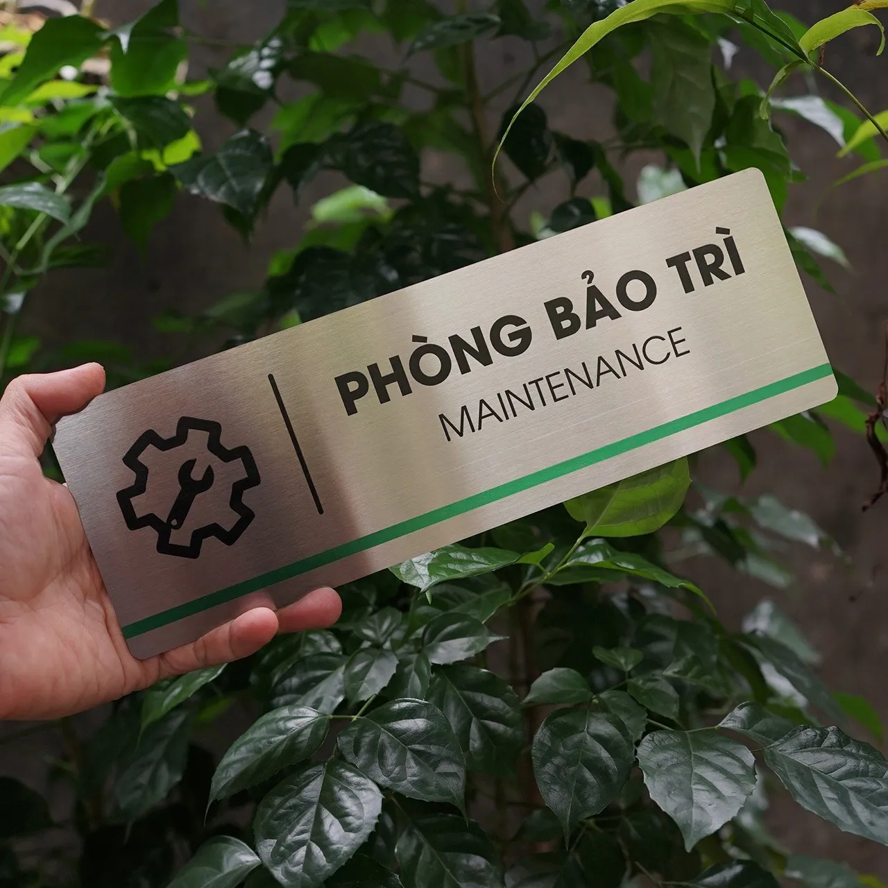 Góc nghiêng bảng tên phòng inox 304 – thể hiện độ dày 1mm và sọc xanh Góc nghiêng 45 độ bảng tên phòng inox brushed, thấy rõ sọc xanh lá và độ dày thực tế