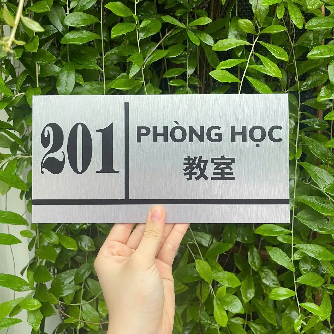 Bảng tên phòng học song ngữ inox bạc xước treo trên tường cây xanh